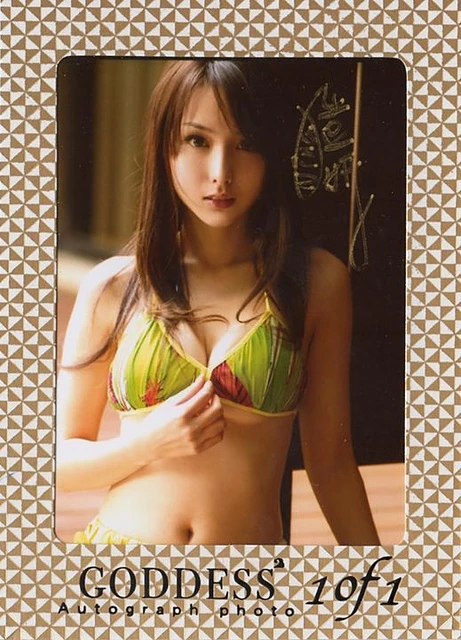 17739208.webp