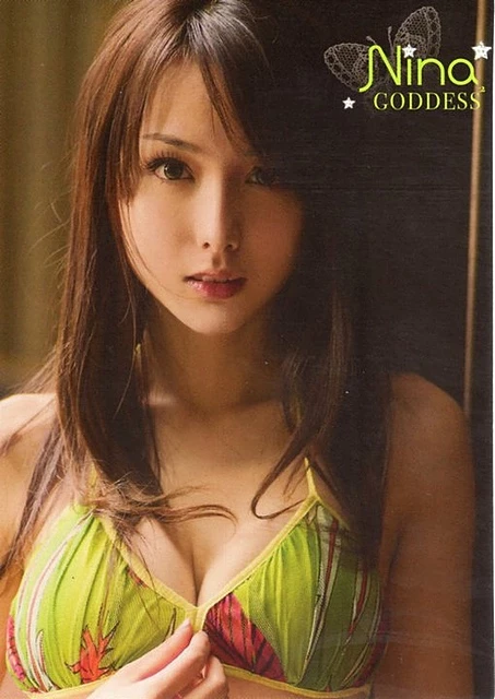 17739212.webp