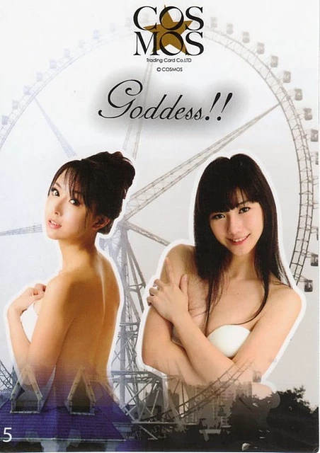 17739214.webp