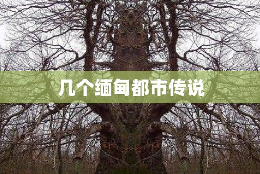 2.png 2.png
