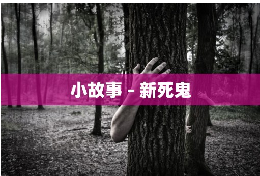 5.png 5.png