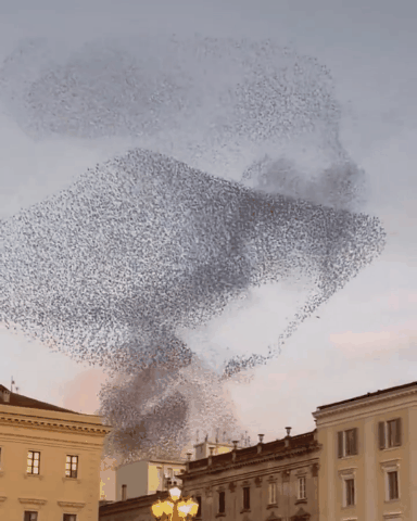 02.gif