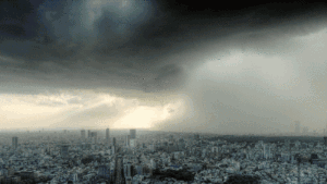 2.gif 2.gif