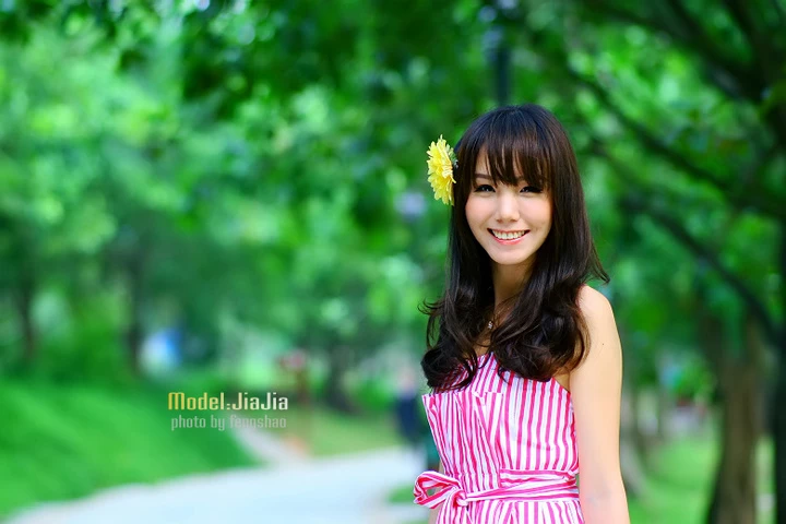 17839409.webp