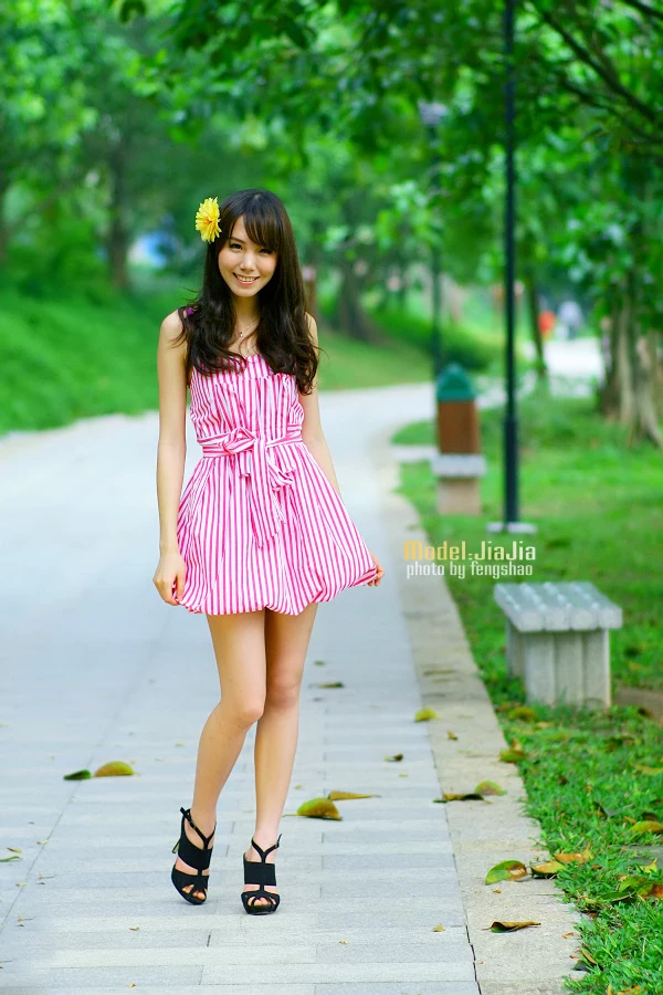 17839412.webp