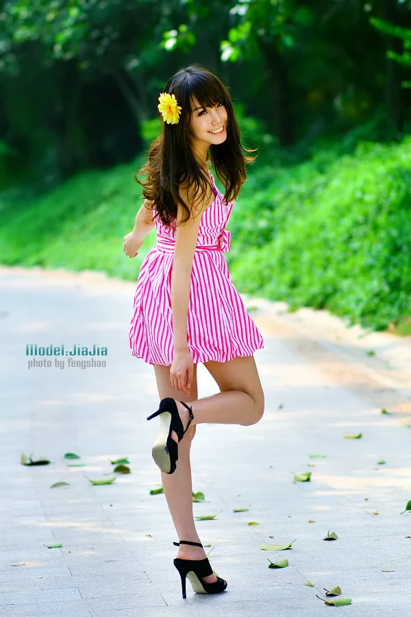 17839422.webp