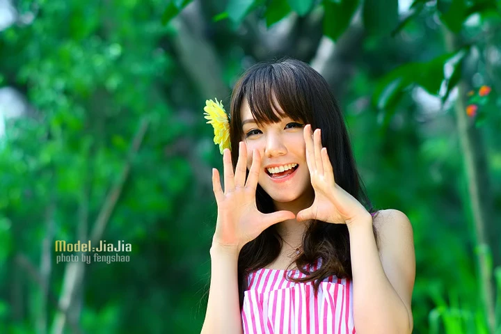 17839419.webp