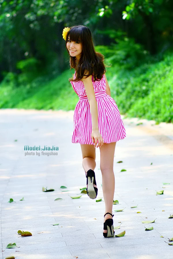 17839420.webp