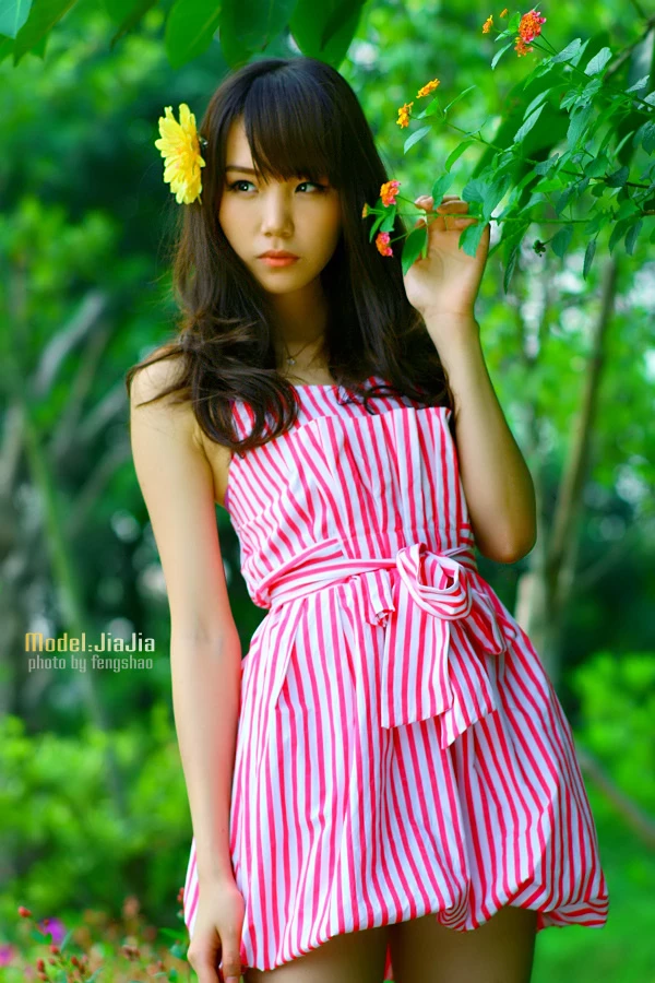17839423.webp