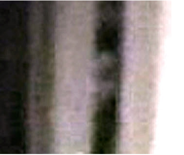 19.png