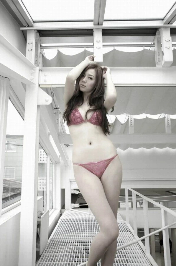17627577.webp