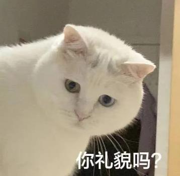 360截图20250812085822270.jpg