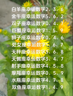 05.png