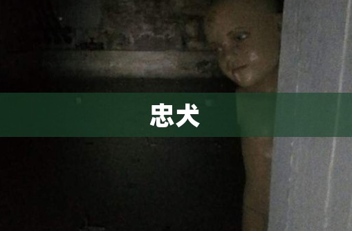 16.png 16.png