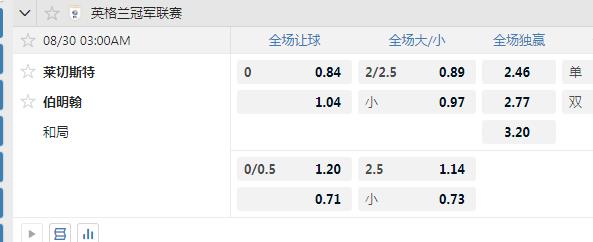 莱切斯特.jpg