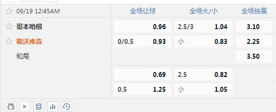 哥本哈根.jpg