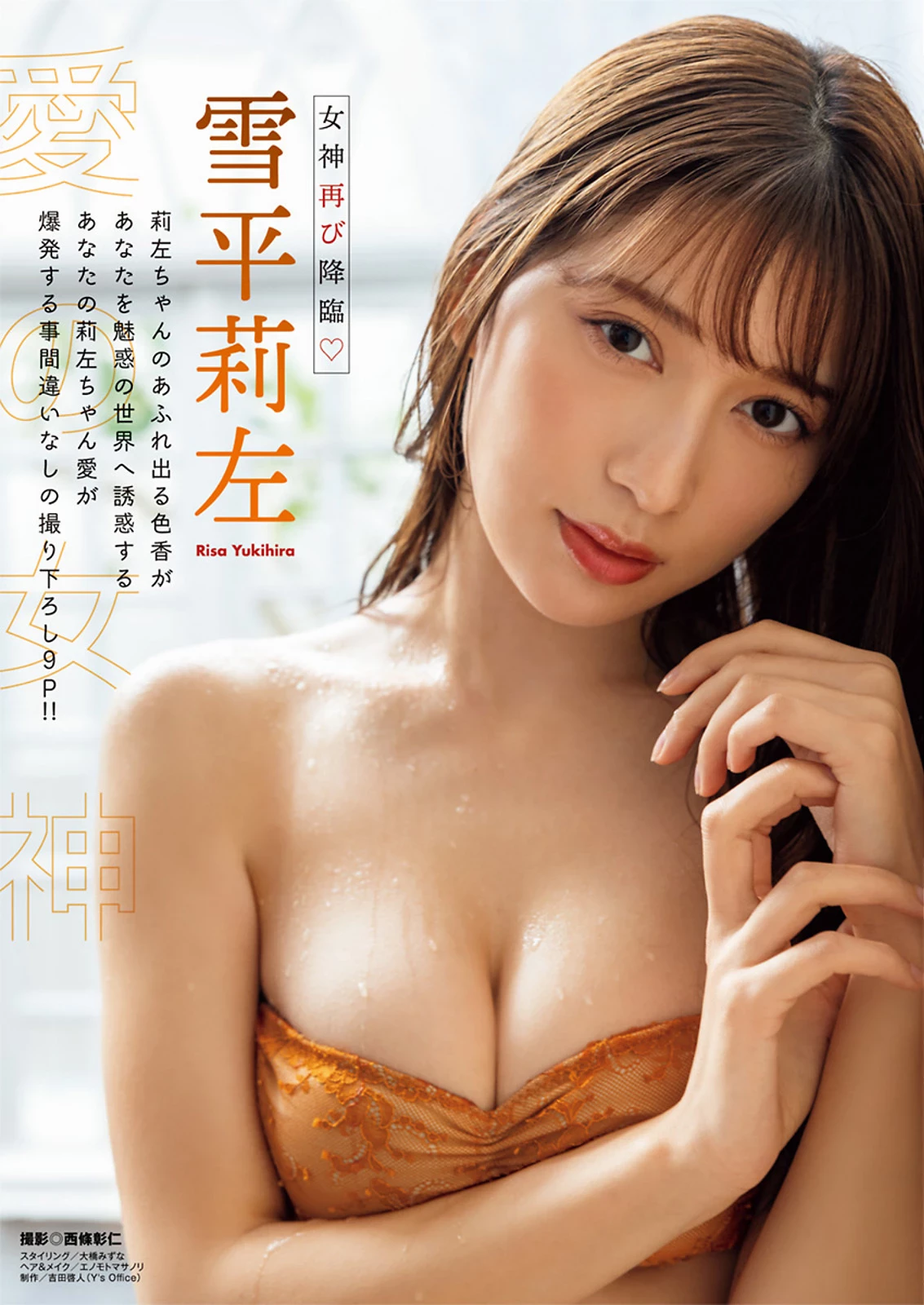 23661619.webp