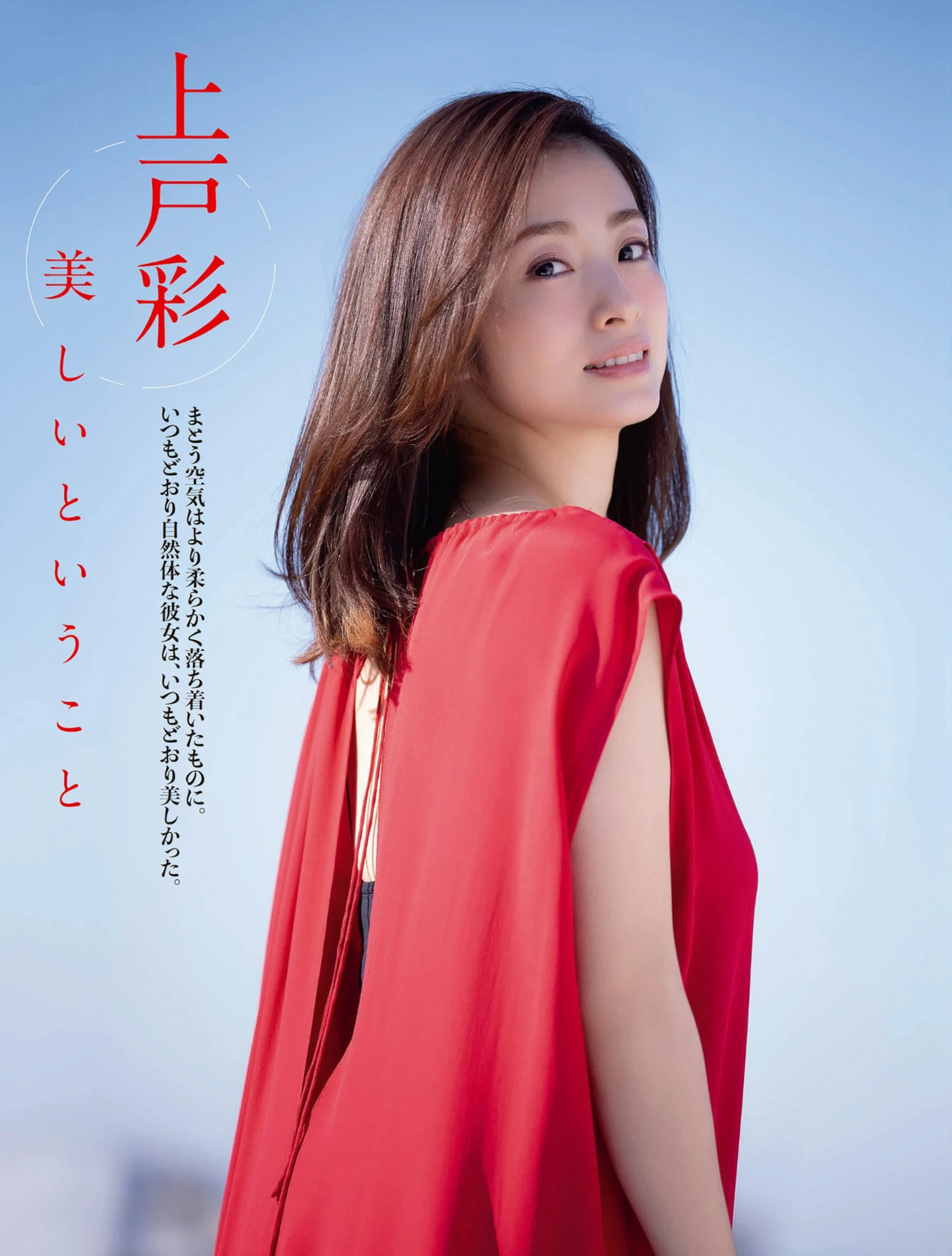 23627811.webp