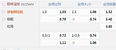 沙特.jpg