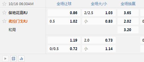 弗拉门戈.jpg