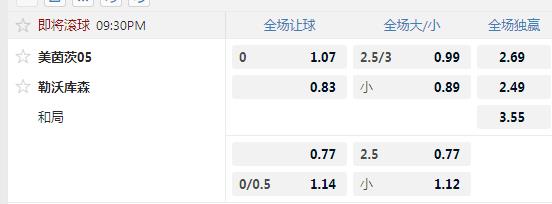 勒沃库森.jpg