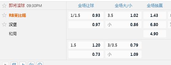 莱比锡.jpg