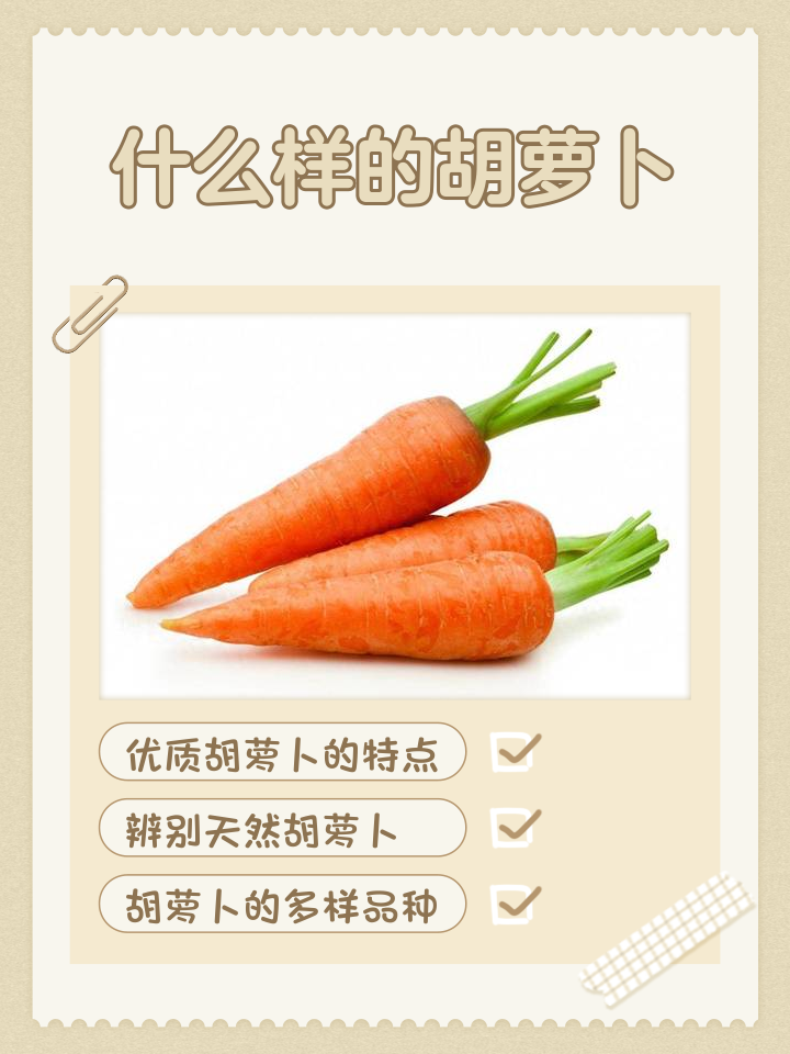 u=2231395535,3998220364&fm=3074&app=3074&f=PNG.png