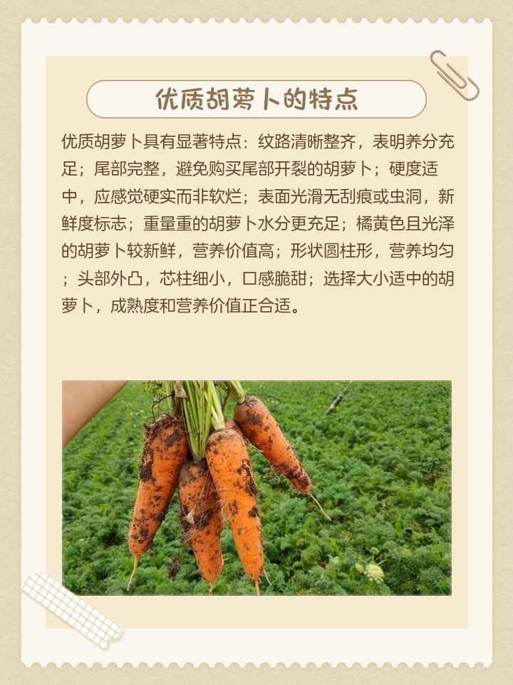 u=4185305830,2643290171&fm=3074&app=3074&f=PNG.png