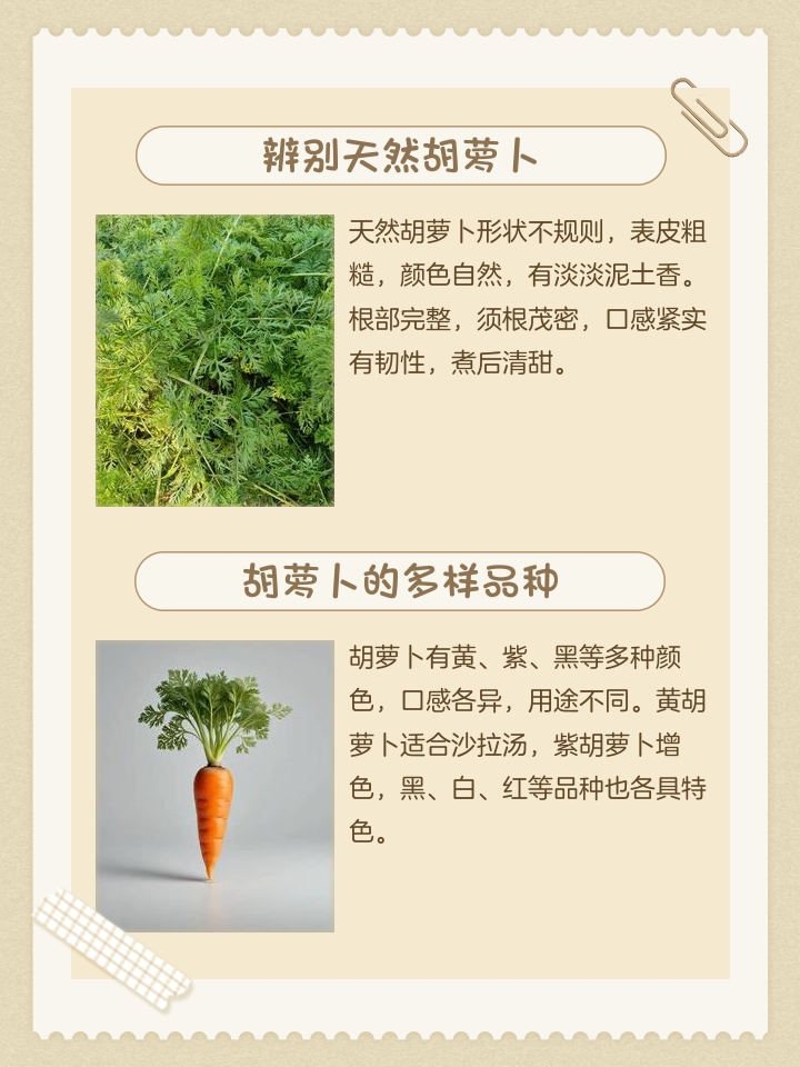 u=1478656781,1687357367&fm=3074&app=3074&f=PNG.png