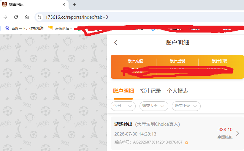 瑞丰国际.png