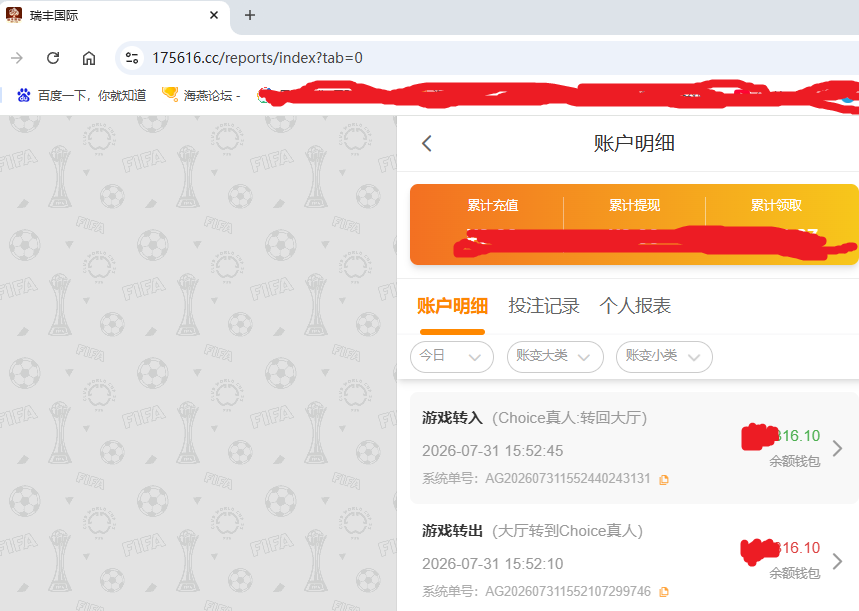 瑞丰国际资金图.png